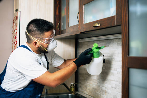 Best Cockroach Control Services  in Hillcrest, CA