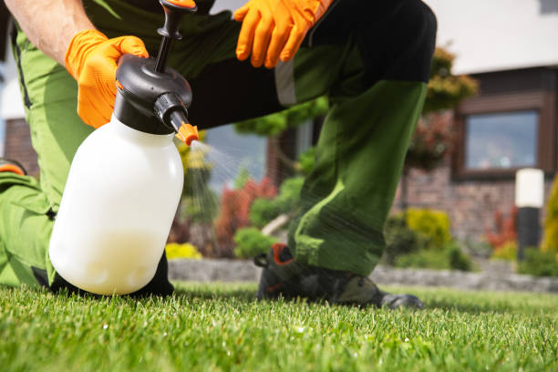 Best Rat Extermination Near Me  in Hillcrest, CA