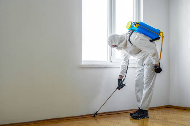 Best Wasp Removal Services  in Hillcrest, CA