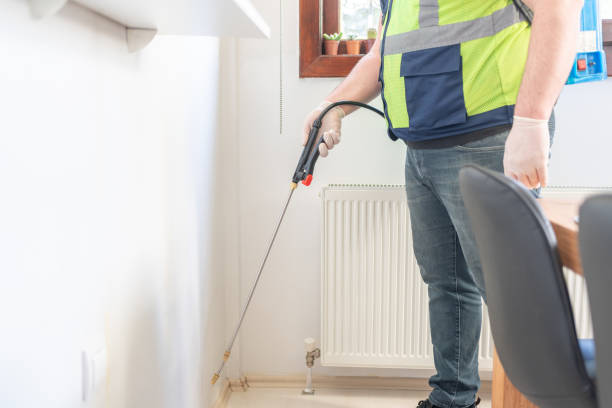 Best Best Pest Control Companies  in Hillcrest, CA