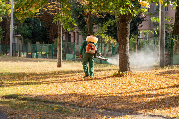 Best Flea Control Services  in Hillcrest, CA
