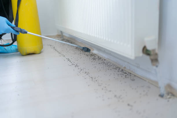 Best Emergency Pest Control  in Hillcrest, CA