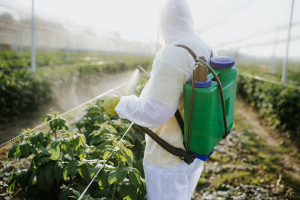 Best Affordable Pest Control Services  in Hillcrest, CA